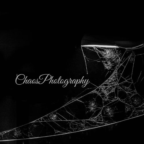 ChaosPhotography